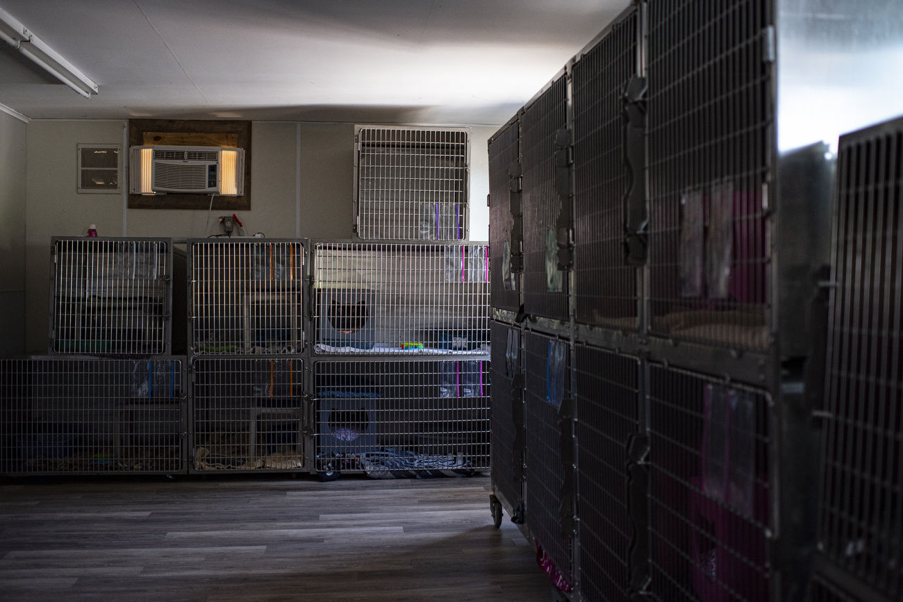 SPCA receives Petco grant